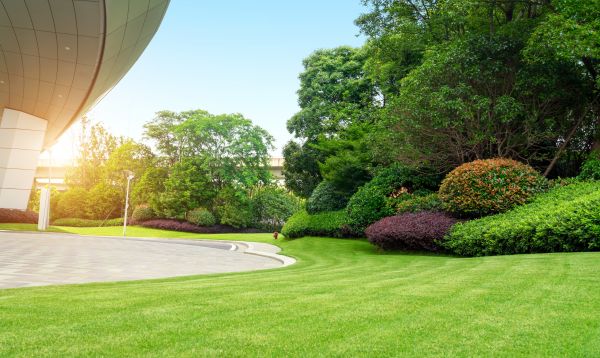 Cost of Commercial Lawn Mowing in Manassas