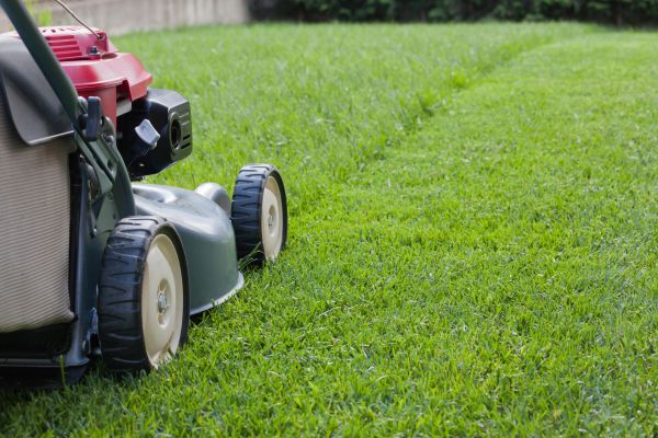 Lawn Care Service in Manassas