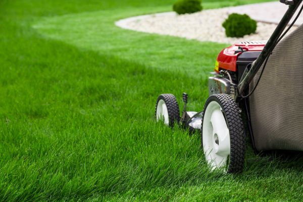 Lawn Service in Manassas