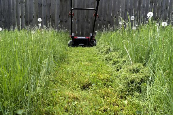Cost of High Grass Mowing in Manassas