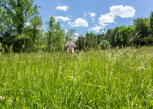 Cost of Long Grass Mowing in Manassas