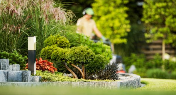 Cost of Residential Yard Maintenance in Manassas