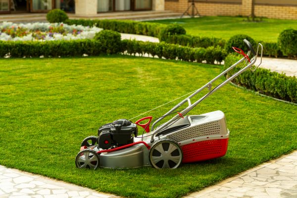 Cost of Business Grass Cutting in Manassas