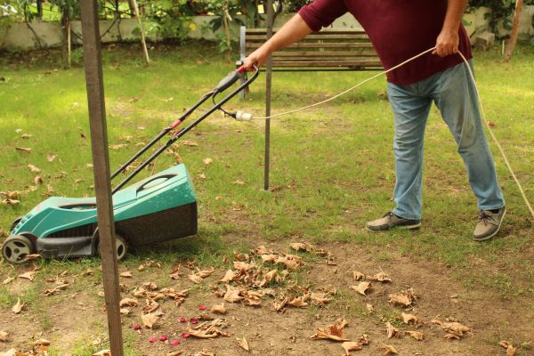 Cost of Leaves Mowing in Manassas