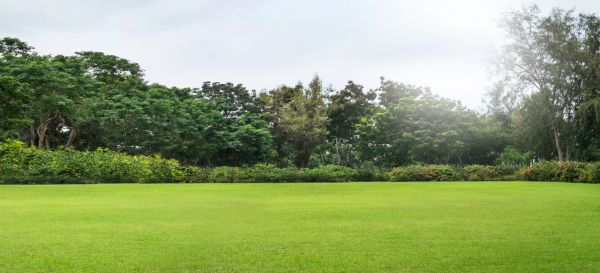 Cost of Golf Course Mowing in Manassas