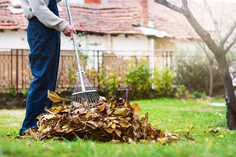 Clean Yard After Leaf Removal