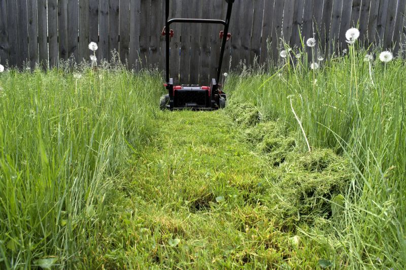Healthy Lawn Growth