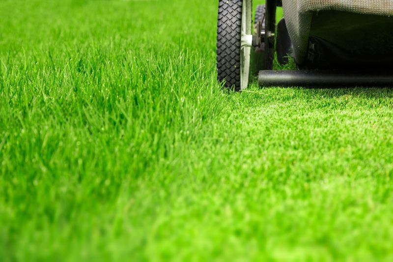 Summer Lawn Maintenance
